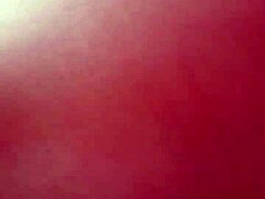 enjoying a suggestive session of good sex with the neighbor involving anal and ass fucking