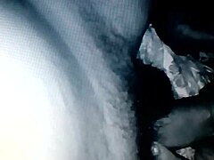 The chibolo pulpo really enjoys oral sex in this group orgy