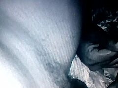 The chibolo pulpo really enjoys oral sex in this group orgy