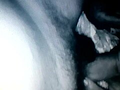 The chibolo pulpo really enjoys oral sex in this group orgy