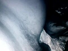 The chibolo pulpo really enjoys oral sex in this group orgy