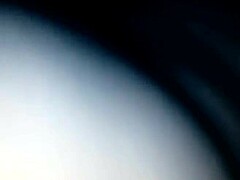 The chibolo pulpo really enjoys oral sex in this group orgy