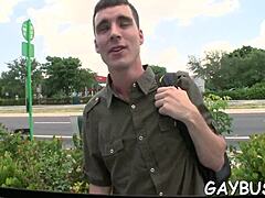 What makes homosexual bear sex so wildly intense?