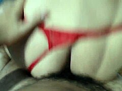 Want to see this gay novinho?