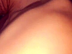 Invited a Buddy for Wild Neighbor Action