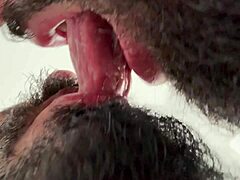 Barbudo cuspido por gostoso in hot clip.