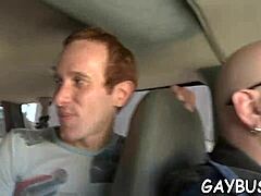 Horny homo fellow gives sloppy blowjob in wild action.