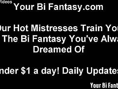 Time for You to Suck Cock for Us Now!