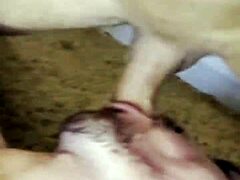 Paulista Drags Carioca Home for Raw Teasing Action