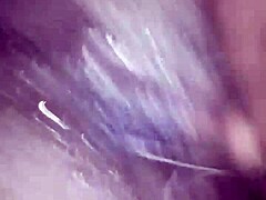 Vegitables Out - Mykkel Osas Goes Wild