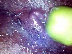 Vegitables Out - Mykkel Osas Goes Wild