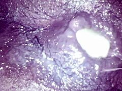 Vegitables Out - Mykkel Osas Goes Wild