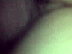 Gay Amateur Twinks Unleashed