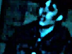 Hej, divlje sa crnim ždreblom?