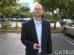 why settle for tame when wild gay sex offers free sperm?