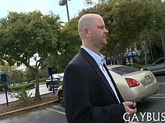 Hvorfor nøjes med tamt når vild gay sex tilbyder gratis sæd?