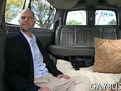 why settle for tame when wild gay sex offers free sperm?