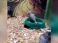 attractive guy with large physique