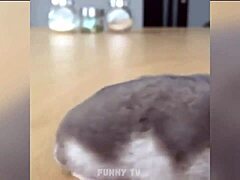 attractive guy with large physique