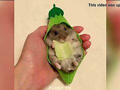 매력적인 큰 체구의 남자