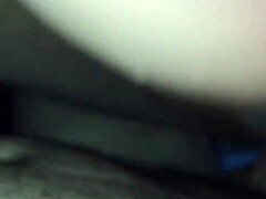 Foda boa sem capa com troca de leite! Bareback breeding amateur fun