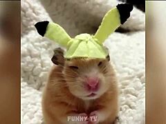 Przystojny kumpel z potężną sylwetką