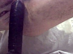 inserting large dildo in ass for new year