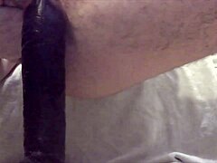 inserting large dildo in ass for new year