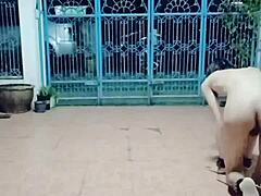 Detailed Amateur Asian Homemade Solo Of Thai Gay Slave Fagteetajet