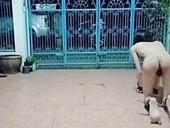 Detailed Amateur Asian Homemade Solo Of Thai Gay Slave Fagteetajet