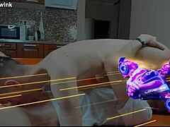 Twinkovi Uživaju U Noćnim Solo Drkama Sa Curenjem Sleme