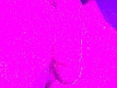 Sexxxy soloboy flashes huge cock in pink light for you!