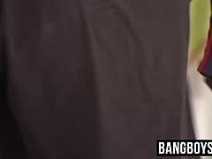 ready for bareback lesson twinks?