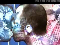 charlie hits ecstasy in horny brazilian bear orgy