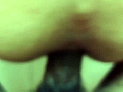 boy pauzudo gemeu na pika ate ganhar leite previa huh?