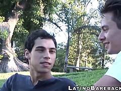 Cute Latino Twinks Bareback Bedroom Doggystyle Cumshot Frenzy