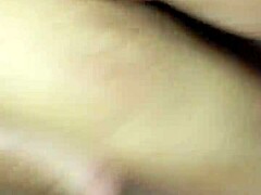 Joepr's monster big cock slams huge asses relentlessly