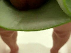 Homemade aloe vera project creates simple model