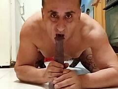 I want a playful cock now