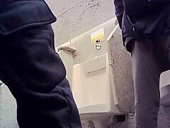 Exploring The Large Public Bathroom Near The Zoo