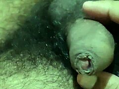 Gay dick really hard with lots of hair