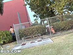 Já tentou ação gay num ônibus da Flórida?