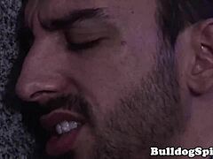 európai srácot seggbasznak a szexi kinky domináns