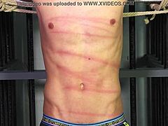 嘿，看这个健壮小鲜肉被蒙面主人绑起来鞭打BDSM！