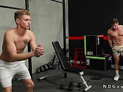 मैसिव कॉक गे जिम सेशन्स में अस्स पाउंड करते हैं