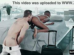 Секси геј масажа се претвара у грубу међурасну туцу!