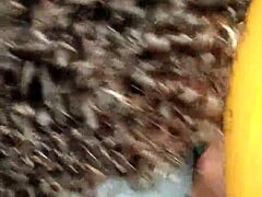 粗拉丁鸡巴爆炸！你能吞下所有精液吗？