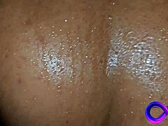 Neljä horoista studia loukussa laatikossa haluavat raakaa ryhmäakkaa