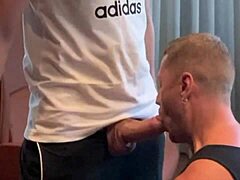 Extra nagy farkak vad meleg gyűjteményben most!