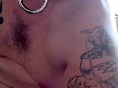 Anjing Nikmati Jerk Cepat Untuk Berehat Selepas Hari Panjang